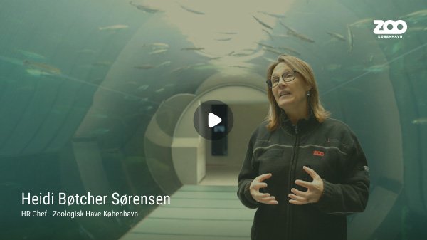 Hør HR Chef i Zoologisk Have København - Heidi Bøtcher Sørensen - fortælle om hvorfor de har valgt at samarbejde med Coach.dk ifm. coaching og udvikling af deres ledere og medarbejdere.